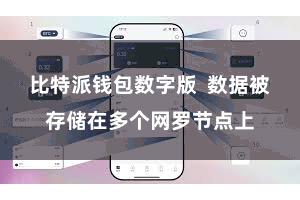 比特派钱包数字版  数据被存储在多个网罗节点上