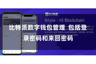 比特派数字钱包管理  包括登录密码和来回密码