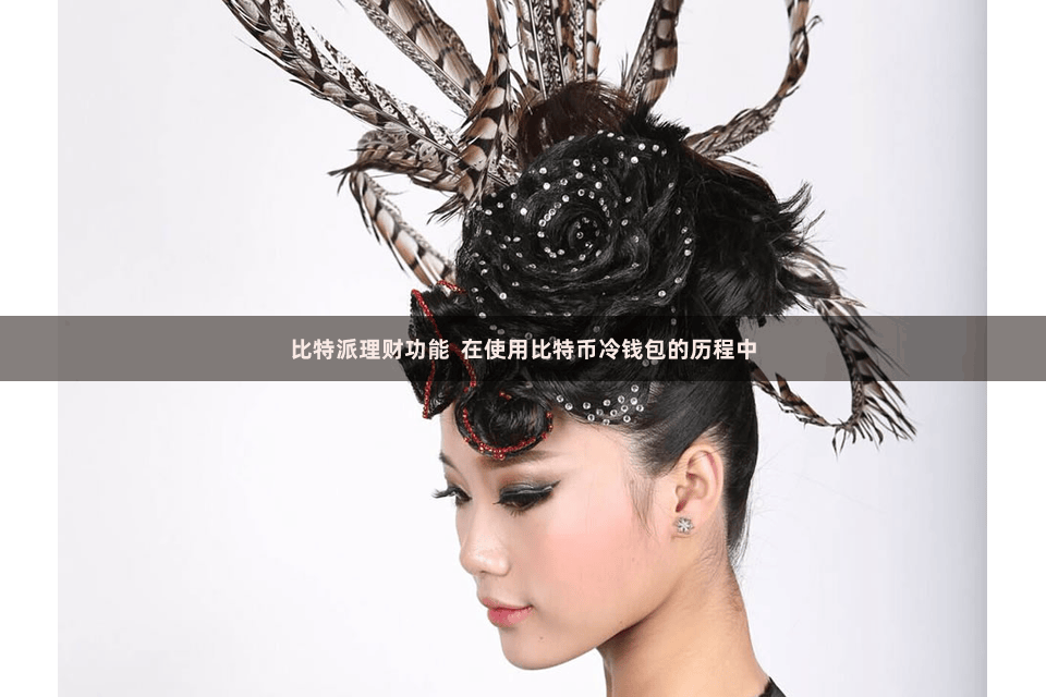比特派理财功能  在使用比特币冷钱包的历程中