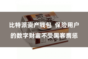 比特派资产钱包  保险用户的数字财富不受黑客膺惩