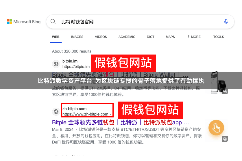 比特派数字资产平台  为区块链专揽的骨子落地提供了有劲撑执